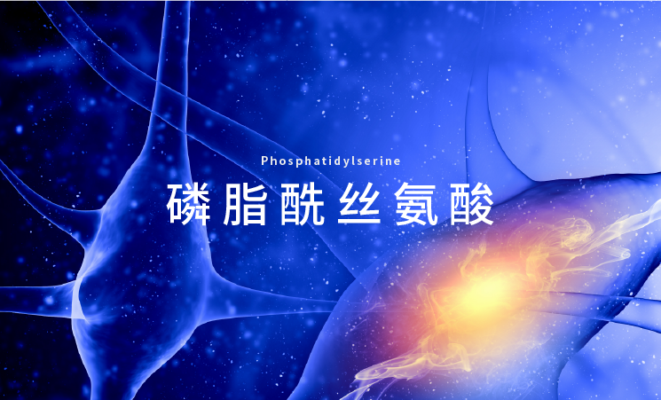 磷脂酰丝氨酸